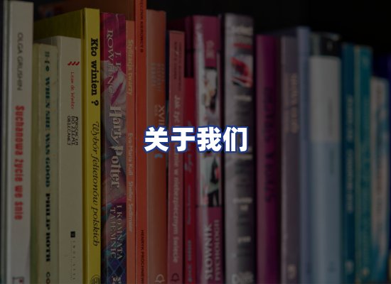 专业团队